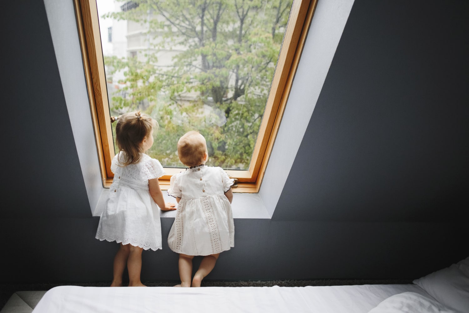 Lesena ali aluminijasta okna: vpliv na energetsko učinkovitost doma